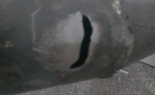普通麻豆视频无码